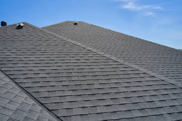 Best Roof Leak Repair  in Ladysmith, WI